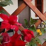 Verzavo 4* Cetraro