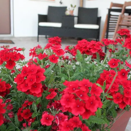 Verzavo Bed and Breakfast *